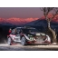 carbon_series_-_rally_monte_carlo_-_dmack-1_web_1.jpg